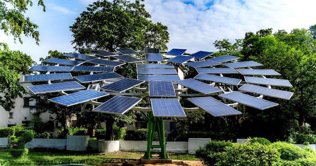 solar tree in india